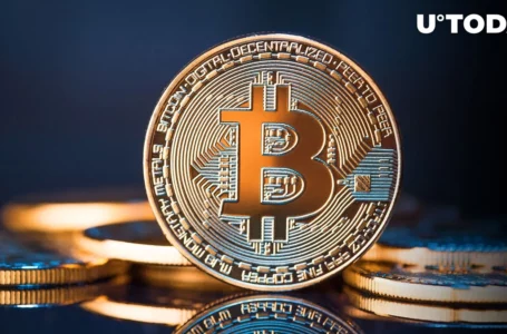 Bitcoin Network Experiencing Something Yet Unseen