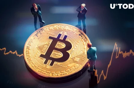 BTC Faces Selling Pressure From Bitcoin Traders, But Not All Is Lost