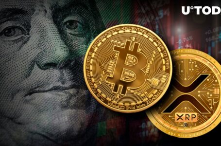 Quarter Billion TUSD Surprise During Crypto Massacre: BTC, XRP and Others Plummet