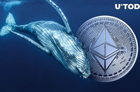 Massive Ethereum Whale Continues to Sell, Shifting 5,040 ETH