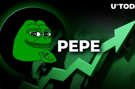 PEPE on Steroids; Why Is PEPE Up 15% Today?