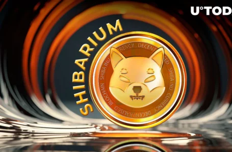Shibarium TVL Eyes New High, Here Are Major Contributors