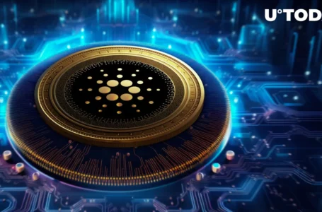 Cardano (ADA) Welcomes First Crypto Options Exchange: What to Know