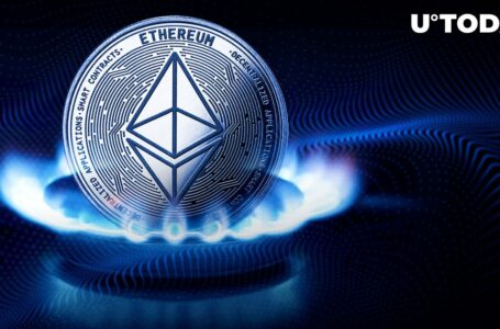 Ethereum: Whopping $859,000 Spent as Fees by This Top ETH Gas Guzzler