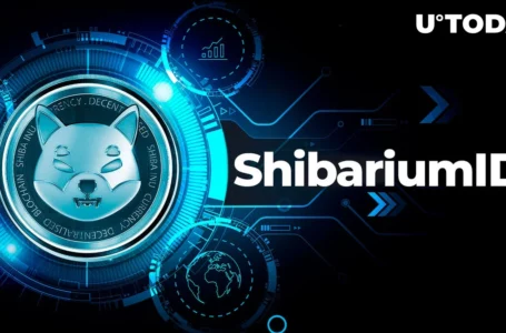 SHIB Digital ID Service for Shiba Inu’s Shibarium Announces October Launch