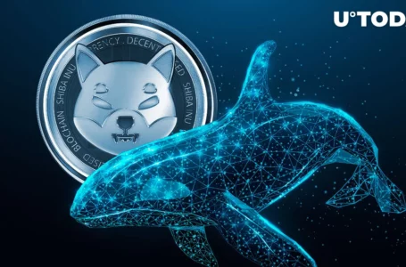 Shiba Inu (SHIB) Whale Activity Unexpectedly Surges