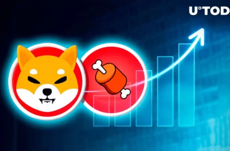 Shiba Inu’s BONE Token Rockets 19% in Just 48 Hours Amid Explosive Address Surge