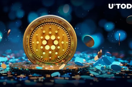 Cardano (ADA) Staking Launches on This Crypto Exchange: Details