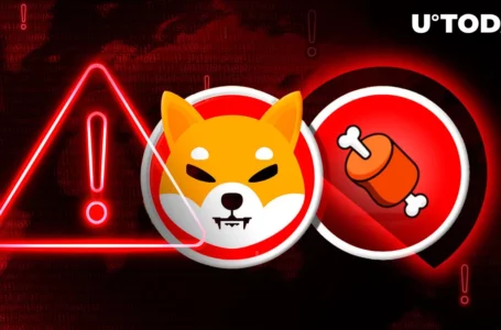 Shiba Inu Team Issues Critical Alert as BONE Renounced