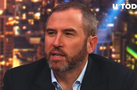 Ripple CEO on SEC Fight: You Have to Stand Up to Bully
