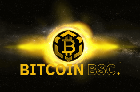Bitcoin BSC (BTCBSC) Review: A Newly Released Staking Token