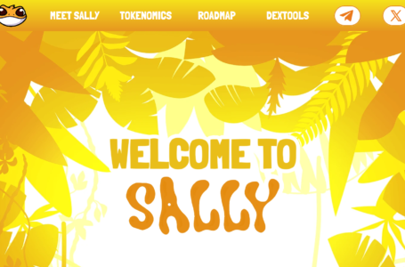 Sally Review: An Irresistibly Cute Meme-Driven Crypto Mascot