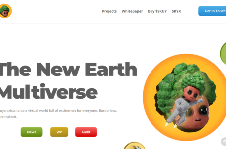 Sekuya Review: A Pioneering Force in The Realm of Community-Centric Metaverse Platforms