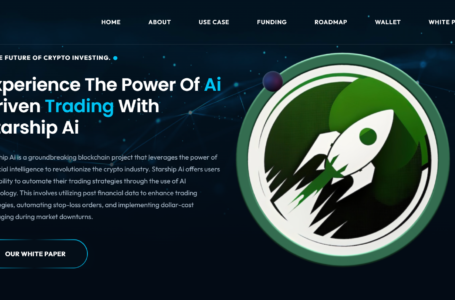 Starship AI Review: A Groundbreaking Blockchain Project