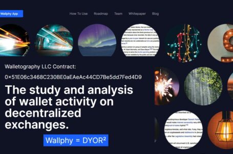 Wallphy (WALLPHY) Review: The Study And Analysis of Wallet on Decentralized Exchanges