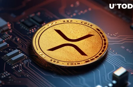 XRP Metric Shows Jaw-Dropping 9x Growth, Here’s What It Is