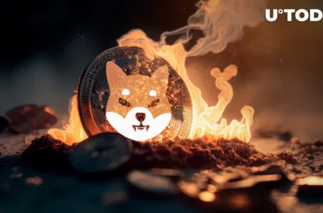Shiba Inu Burn Rate Skyrockets by 500% as More Than Half Billion SHIB Burned