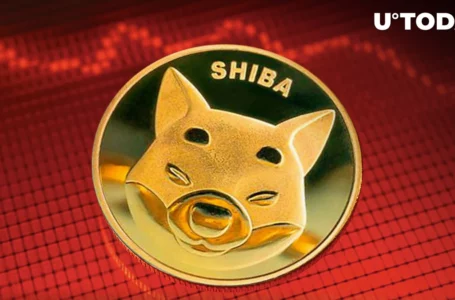 Here’s Why Shiba Inu (SHIB) Trading Volume Crash Is Good News
