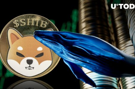 Shiba Inu Whales Just Grabbed $100 Million — Is Moonshot Imminent?
