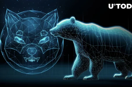 Shiba Inu Member: Here’s How to Survive Bear Market When SHIB Plunges
