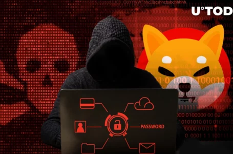 Shiba Inu Blockchain Faces Scam Attack: Shibarium Lead Makes Explosive Revelation