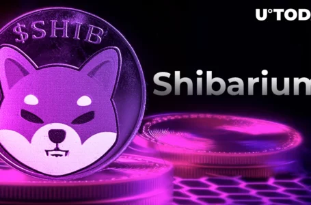 Shiba Inu (SHIB) Revolution: Shibarium Node Provider Unleashes Ambitious Plans