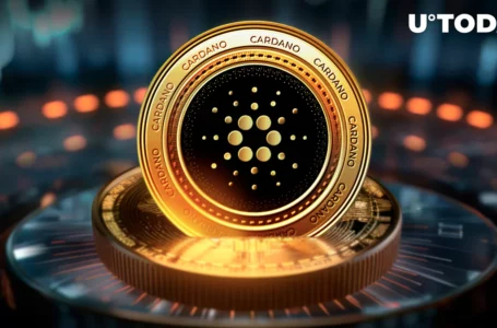 Cardano (ADA) Records Major Upshoot in This Crucial Metric