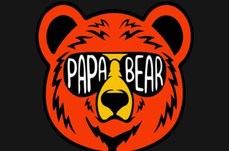 Papa Bear Crypto Review: All To Know About