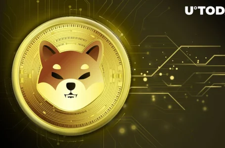 Shiba Inu (SHIB) Flashes These 3 Signs to Prove Price Slump Is Transient