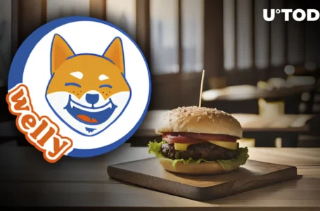 Shiba Inu (SHIB) Partner Welly’s Boasts Major Upgrade