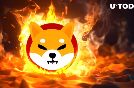 Shiba Inu Weekly Burn Rate Rises as Under 1 Billion SHIB Are Burned