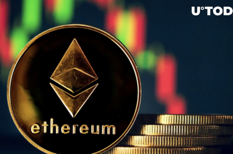 Ethereum’s Top 10 Wallets Increase Holdings
