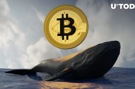 Dormant Bitcoin Whale Awakens After 6-Year Hiatus