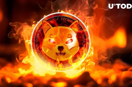 Shiba Inu (SHIB) Burn Rate Shows Triple-Digit Growth