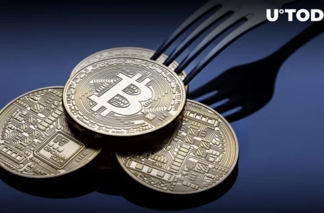 Bitcoin Rare 184 Billion BTC Bug Recounted, How Satoshi Fixed This Issue