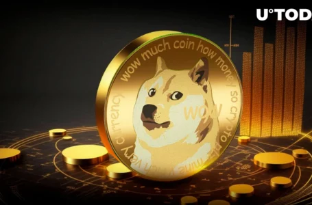 Dogecoin (DOGE) Outperforms Key Rivals