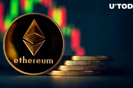 Ethereum Records $181 Million Outflow from Exchanges, Marking Highest Movement Since August