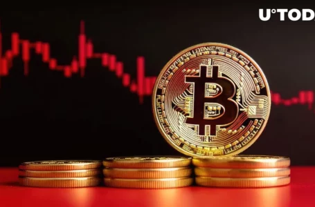 Key Reason Why Bitcoin (BTC) Price Just Plunged