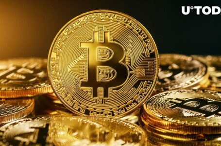 Bitcoin (BTC) Primed for Major Run if This ‘Beautiful’ Pattern Validates