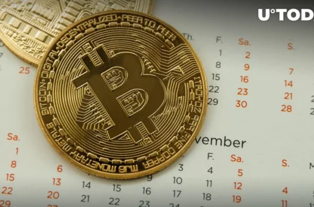 Bitcoin (BTC) Might Meet ‘Key Pivot Point’ on Nov. 21, Here’s Why