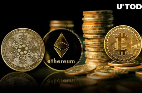 Are Cardano (ADA) and Ethereum (ETH) in Trouble After This Bitcoin Update?