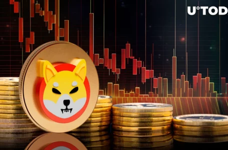 Shiba Inu (SHIB) Comes Close to Yearly Lows, What’s Next for Price?