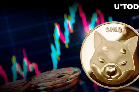 Shiba Inu (SHIB) Might Be in for Surprising Breakout, Here’s Why