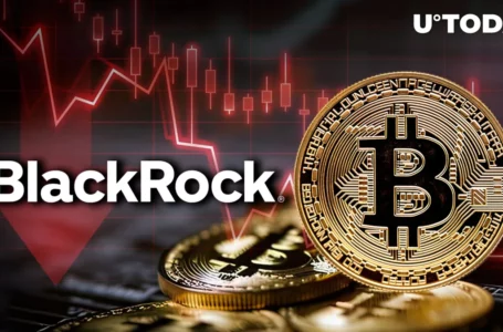 Bitcoin (BTC) Collapses 8% as BlackRock Denies ETF Approval Rumour