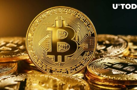 Bitcoin (BTC) Whales Are Waking up Massively, Can It Affect Price?