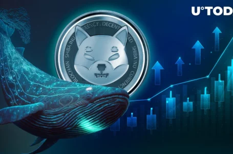 Shiba Inu (SHIB) up 400% in Large Transactions: Whales Woke Up?