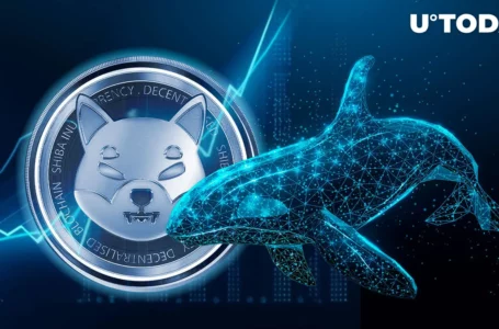 Half Million in Shiba Inu (SHIB) Push This Whale’s Portfolio to Lucky Number