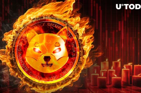 SHIB Burns Dump Hard as Price Prints Series of Big Red Candles