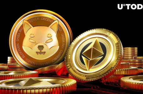 Is Shibarium Fast Enough to Dominate Ethereum L2?