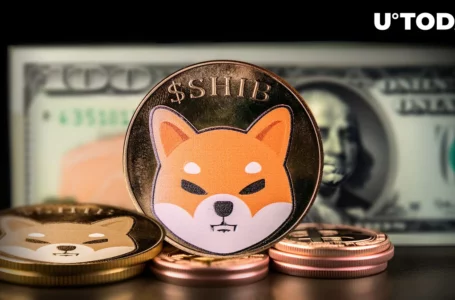 Shiba Inu (SHIB) Witnesses Unusual $40 Million Transaction Activity for Two Days in Row